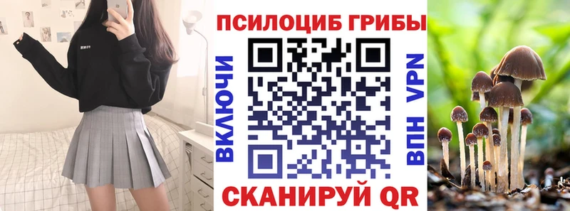 Купить закладки  Обоянь  Псилоцибиновые грибы прущие грибы 